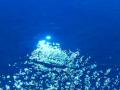 video clip 459433