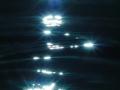 video clip 459471