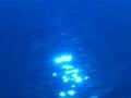 video clip 459473