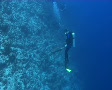video clip 461457