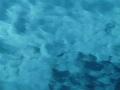 video clip 462435