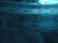 video clip 462529