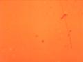 Film Leader Texture - Vintage Super8 Film Video