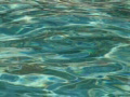 High Speed Camera : Pool Water Surface 10 Loop Video