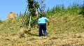 video clip 486429