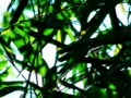 video clip 491549