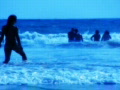 video clip 491585