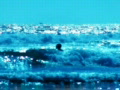 video clip 491593