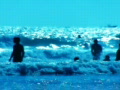 video clip 491603