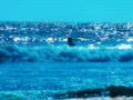 video clip 491623