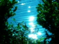 video clip 491635