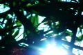 video clip 491647