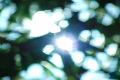 video clip 491649