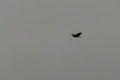 video clip 491657