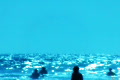 video clip 493153