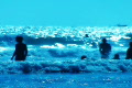 video clip 493159