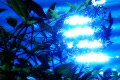 video clip 493777