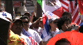 video clip 495599