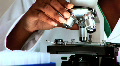 Science & Research
