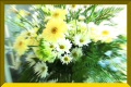video clip 500271