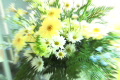 video clip 500275
