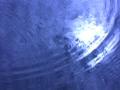 video clip 502275