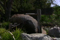 Japanese Garden Shishi Odoshi Loop Video