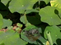 video clip 503157