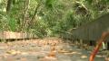 video clip 516281