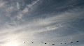 video clip 516827