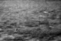 video clip 521607