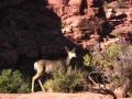 video clip 531679