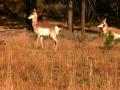 video clip 534645