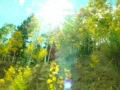 video clip 542909