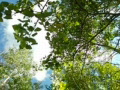 video clip 542947