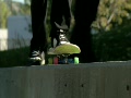 video clip 555221