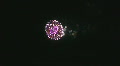 4th of July 2009 08