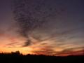Motion Control Time Lapse Sunset 06 Pan 10x Video