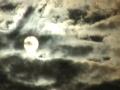 video clip 560895