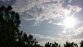 video clip 562749