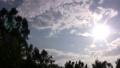 Motion Control Time Lapse Clouds Forest 03 Tilt Up 60x Video