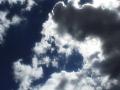 video clip 564631