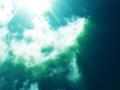 video clip 564681