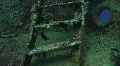 SS Thistlegorm ladders to bow section Video