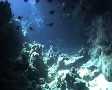 video clip 574351