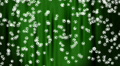 video clip 574745