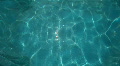 Water Surface