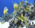video clip 580723