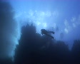 video clip 580881