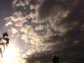 video clip 580937